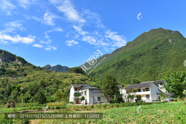 田園風(fēng)光