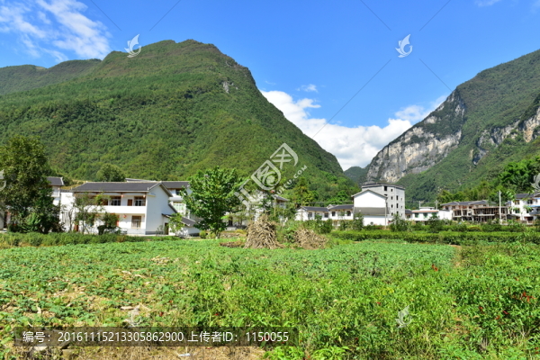 田園風(fēng)光