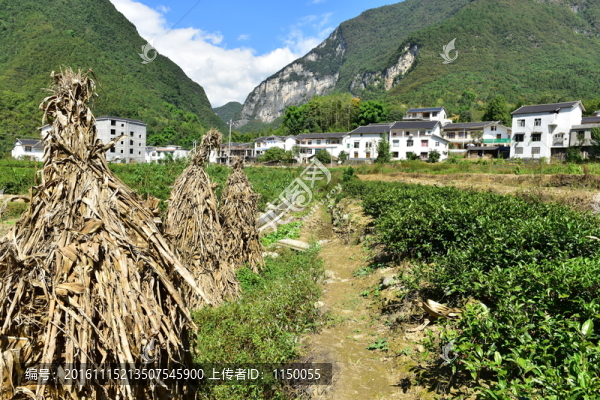 湖北恩施市麂子渡景區(qū)田園風(fēng)光