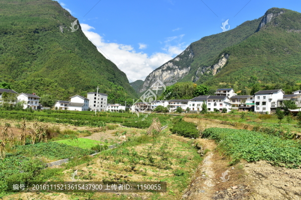 湖北恩施市麂子渡景區(qū)田園風光