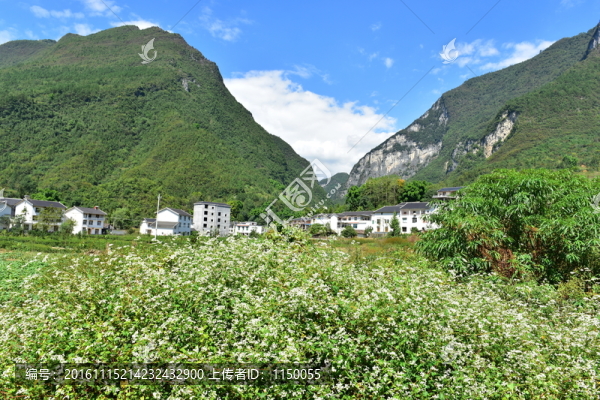 湖北恩施市麂子渡景區(qū)田園風(fēng)光