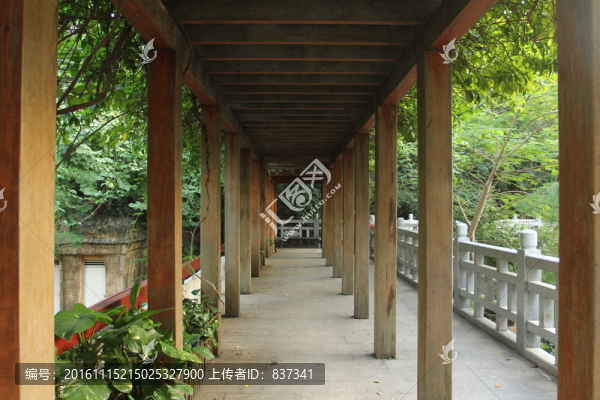 公園長廊