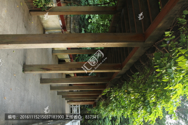 植物長(zhǎng)廊