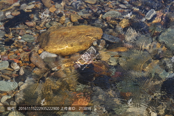 清澈溪水-匯圖網(wǎng) www.fosd68.com 清澈溪水