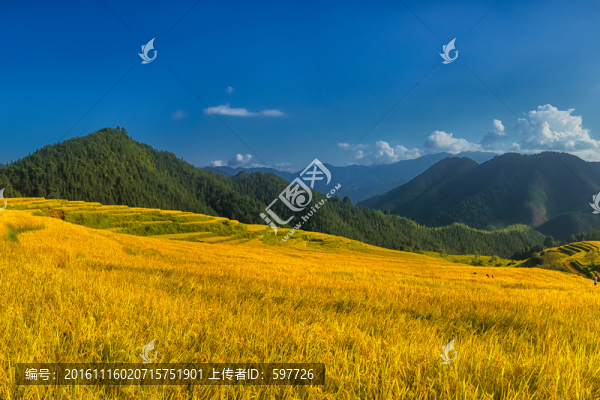 歐家梯田風(fēng)景