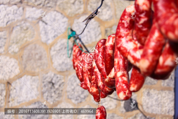 臘腸