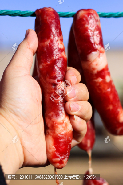 臘腸