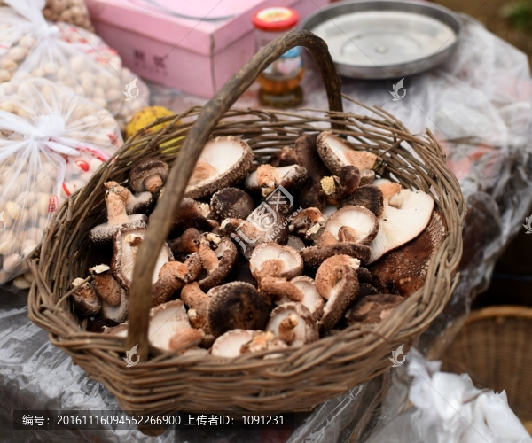 野菌