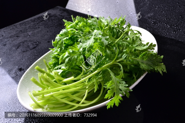 茼蒿