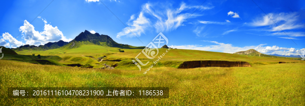 草原