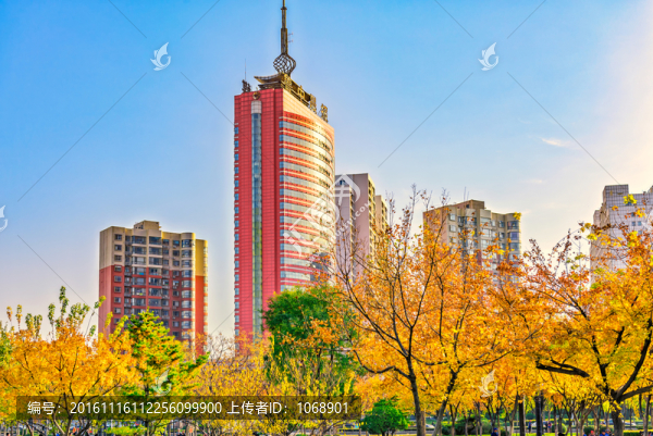 魯中晨報(bào)