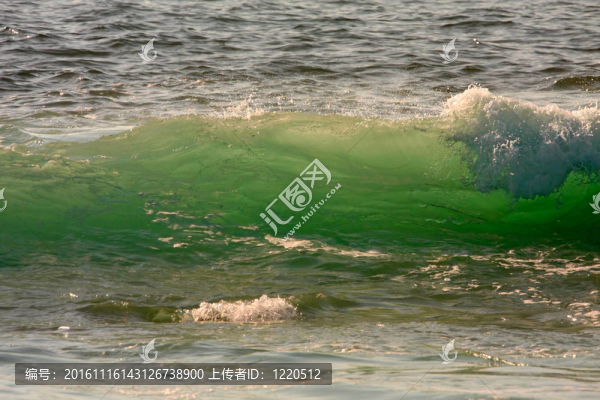 綠色浪潮