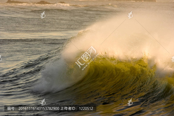 綠色浪潮