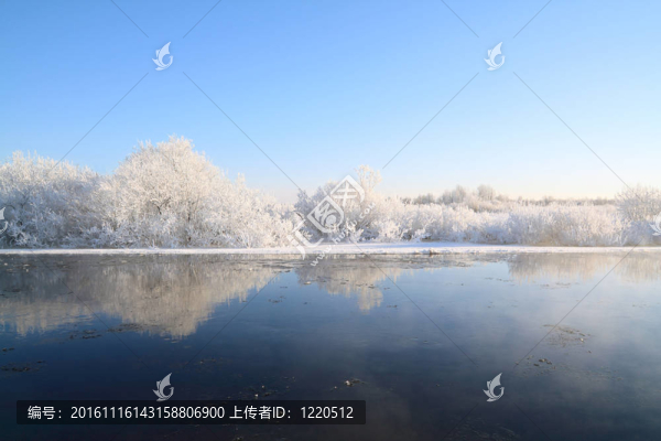 海岸河上的雪叢