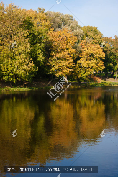公園的秋天湖