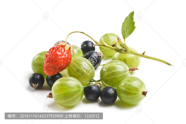 醋栗醋栗和草莓；
