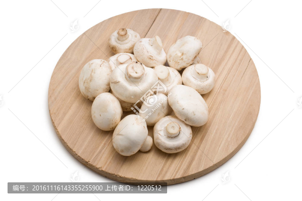 蘑菇