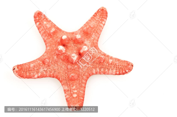 海之星