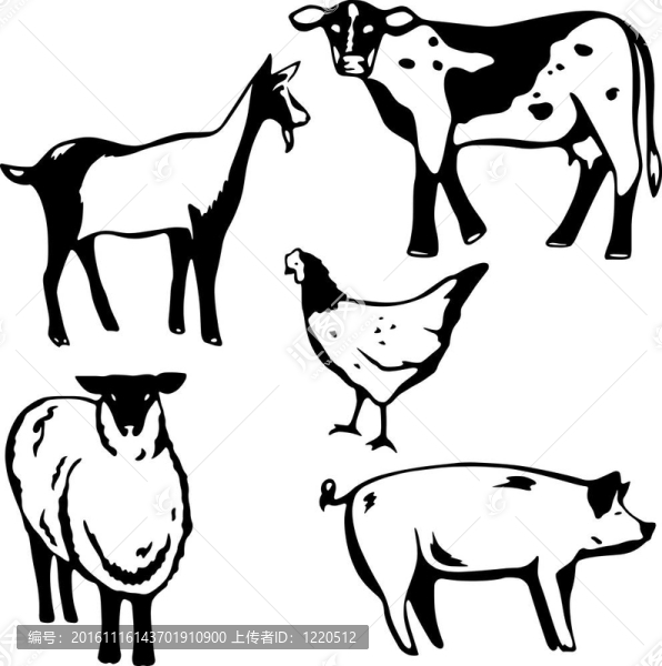 農(nóng)場動物