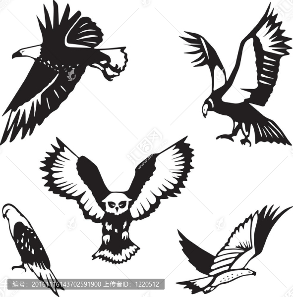 五種風(fēng)格化的鳥類