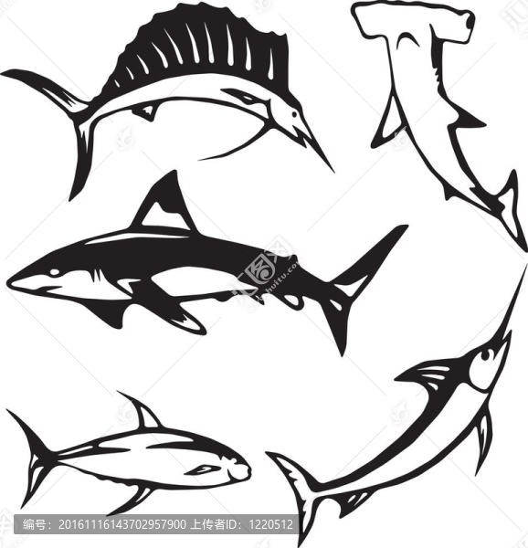 五大海洋魚