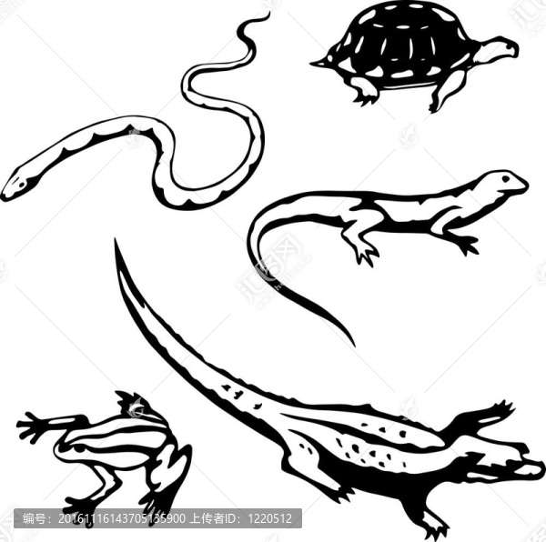 爬行動物和兩棲動物