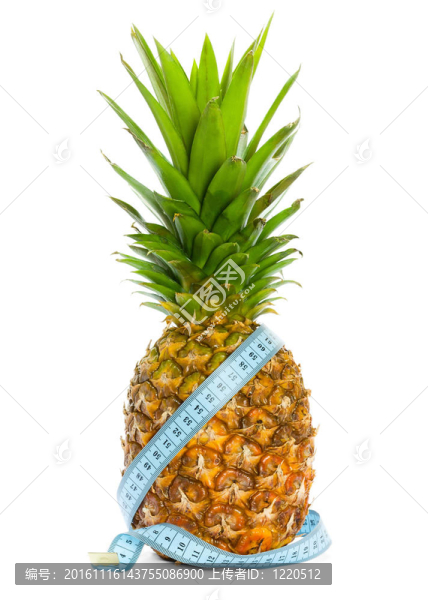 用卷尺Aro菠蘿