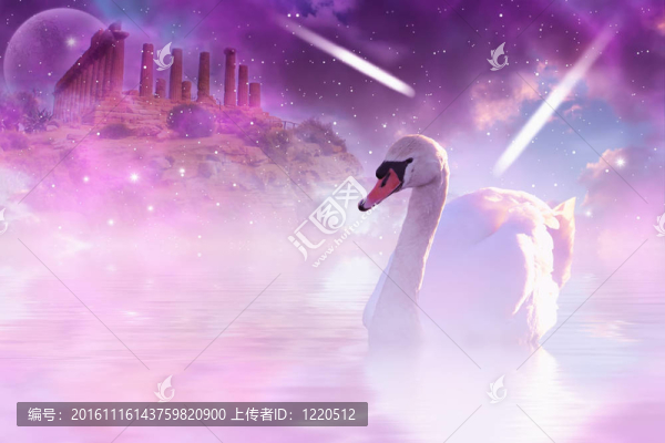 天鵝