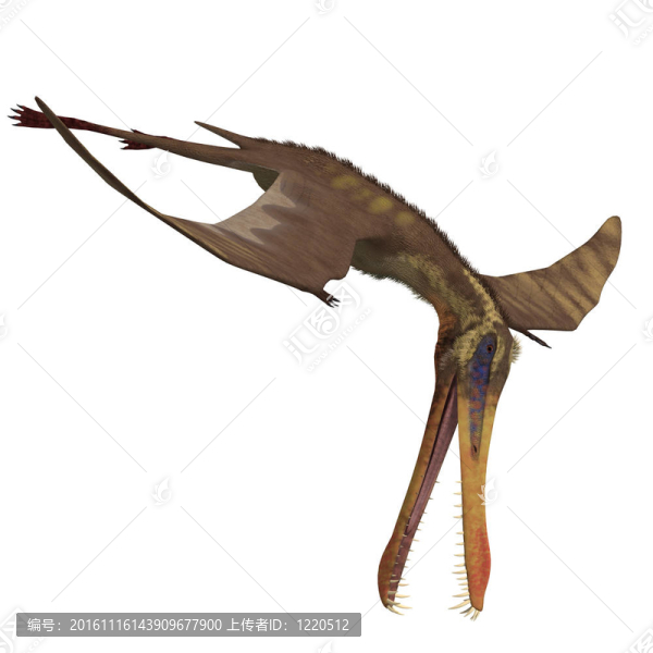 古魔翼龍翼龍恐龍。3D渲染與剪輯路徑和陰影超過白色