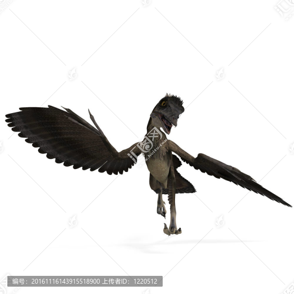 Dinosaur,Archaeopteryx。3D渲染與剪輯路徑和陰影超過(guò)白色