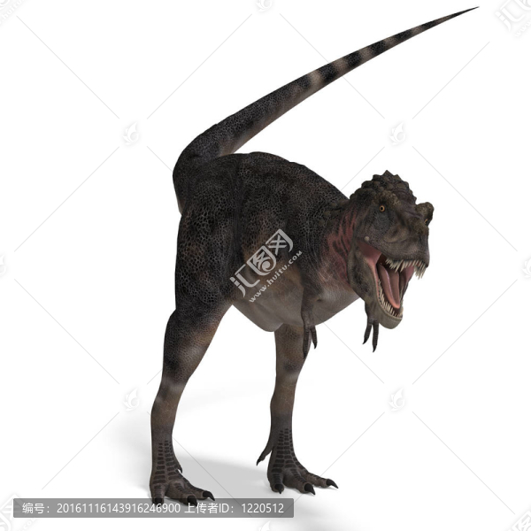 Dinosaur,Tarbosaurus。3D渲染與剪輯路徑和陰影超過白色