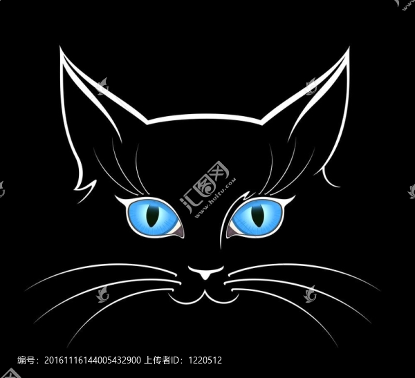 貓的眼睛在黑暗中的形象