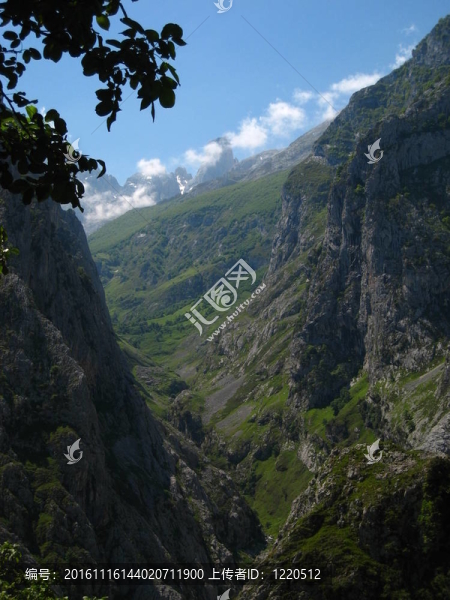 高山中的灰色和綠色峽谷；藍天
