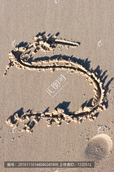 字母S