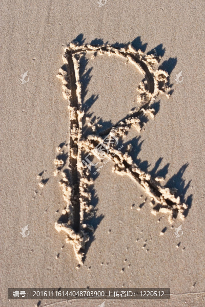 字母R