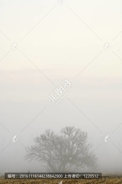 寒冷的黎明