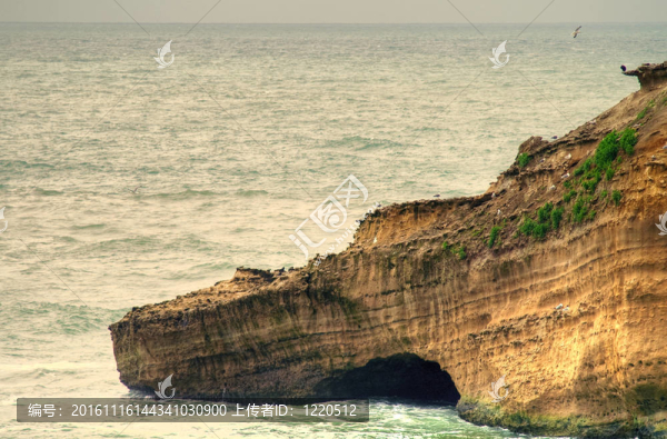 海洋