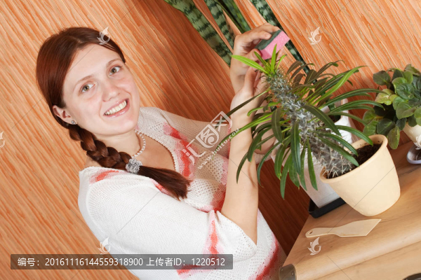 女人清洗的花