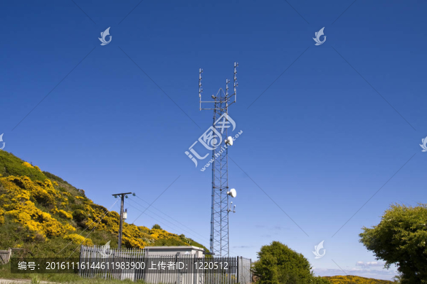 電信的桅桿