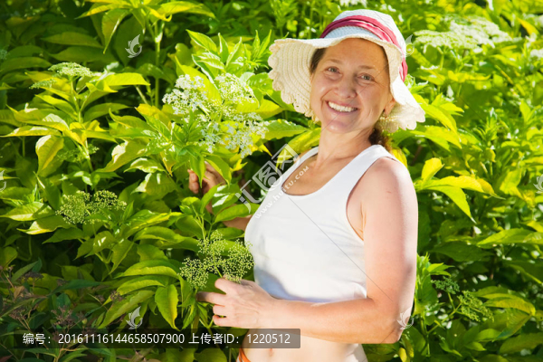 花園中的女人對山茱萸