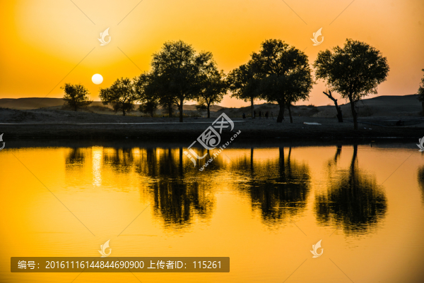晚霞胡楊林倒影