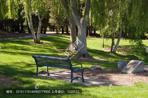 在一個陽光明媚的下午公園長椅