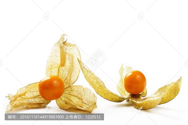 兩酸漿