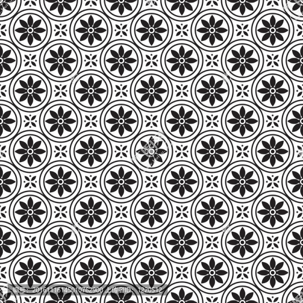Daisy,Pattern