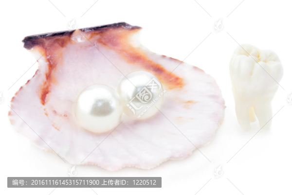 牙齒的健康概念