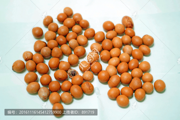 魚(yú)皮花生,高清特寫(xiě)