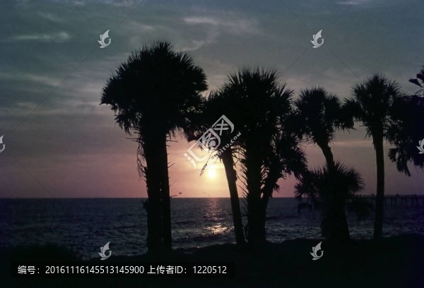 太半洋日落