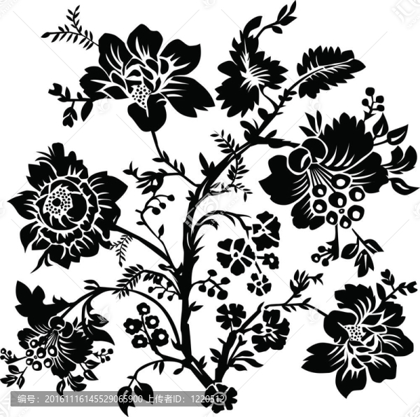 玫瑰花圖