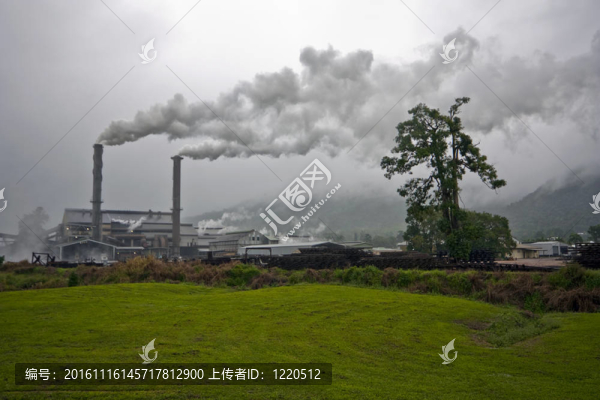 糖廠