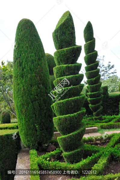 裝飾的綠色公園豐沙爾植物園；Madeira
